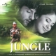 The Soul Of Jungle - Instrumental