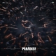 the-paradise-2026