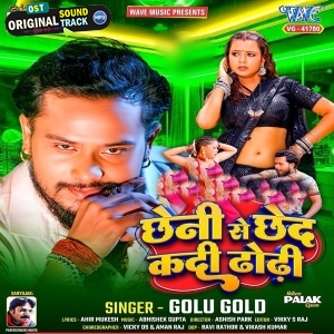 Chheni Se Chhed Kadi Dhodi (Golu Gold)