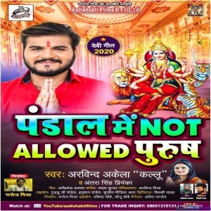 Pandal Me Not Allowed Purush (Arvind Akela Kallu)