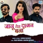 Janu Tera Dushman Bana - Sarwan Rachheti.mp3