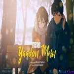 Tujhe Yaad Nahi - Cover - Prince Pratap