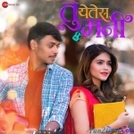 Tu Yetes Mani - Hrishikesh Ranade