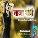Dil Holak Bekabu - Nagpuri Remix- Dj Domnik 2021