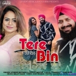 Tere Bin - Gurlez Akhtar, Upinder Matharu