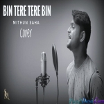 Bin Tere Tere Bin - Cover - Mithun Saha