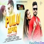 Puilu Ropor