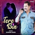 Tere Bin - Kumar Sanu