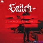 Snitch - Kunwarr