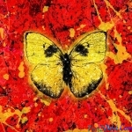 Shivers - Ed Sheeran