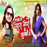 Gajab Ke Chehra Gori Ke Julfo - Robin Rangeela