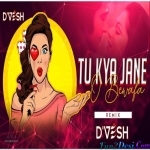Tu Kya Jane O Bewafa - Hema Malini (Remix) - DJ DVESH