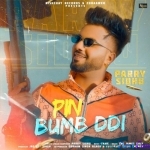 Pin Bumb DDi - Parry Sidhui