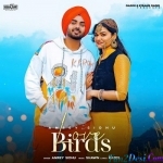 Love Birds - Amrey Sidhu