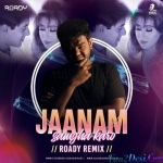 Jaanam Samjha Karo (Remix) - Roady