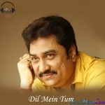 Dil Mein Tum