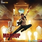 Tu Meri (Mashup) - DJ Shabster