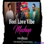 Feel Love Vibe Mashup Dj Neopox Brothers x Vicky Kashyap