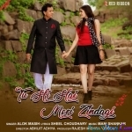 Tu Hi Hai Meri Zindagi - Alok Masih