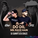 Do Dil Mil Rahe Hain (Pardes) (Remix) - DJ Sunny x DJ Craze