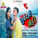 Tor Sadi Aage Aage Nagpuri REmix Dj Pawan 2021