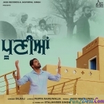 Pooniyan - Dilraj