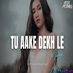 Tu Aake Dekh Le Remix - Aftermorning -The Carnival