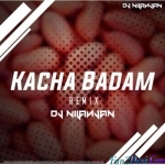 Kacha Badam Dj Song - DJ Nilanjan