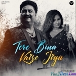 Tere Bina Kaise Jiyu - Kumar Sanu