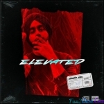 Elevated - Shubh