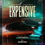 Expensive - Rummy Grewal