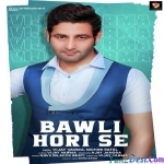 Bawli Hori Se - Vijay Varma