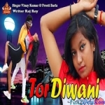 Moy Tor Diwana Gori Re - Vinay Kumar