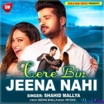 Tere Bin Jeena Nahi - Shahid Mallya