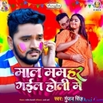 Maal Mamahar Gail Holi Me (Gunjan Singh)
