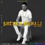 Shehar Mohali