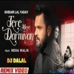 Tere Mere Darmiyan - Official Remix - DJ Dalal London