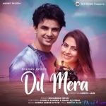 Dil Mera - Mohammed Irfan