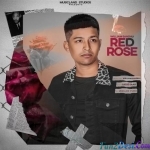 Red Rose - William Sandhu