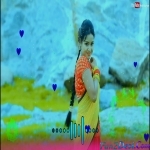 Je Din Se Dekhlo Moy Toke Goriya - Robin