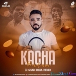 Kacha Badam (Remix) - DJ Shad India