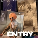 Entry - Amar Sehmbi
