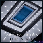 Crazy - Aditya Chib