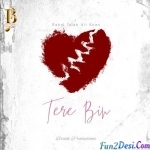 Tere Bin - Rahat Fateh Ali Khan