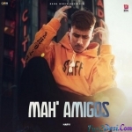 Ma Amigos - Harvi