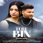 Tere Bin Nai Jeena - Ashwani Machal