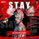 Stay - Justin Bieber (Remix) - Dj Spidey India