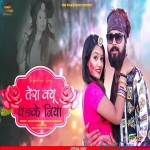 Tera Kyon Dhadke Jiya - Salim Shekhawas