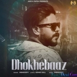 Dhokhebaaz - Msnoopy