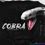 Cobra - Jaura Phagwara